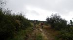 IMGP8051 (Copiar) (Copiar).JPG