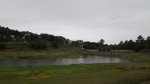 IMGP8059 (Copiar).JPG