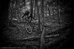 Specialized-Enduro-29-a.jpg