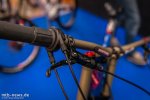 large_Roc_Feature_Effigear-16.jpg