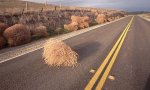 Tumbleweed-006.jpg