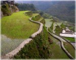 banaue__rice_terraces_85b15d.jpg