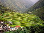 banaue3733554423_6e558128fd.jpg