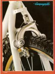 campagnolo_1.jpg