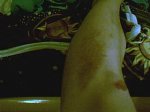 imagen_022_132.jpg