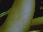 imagen_023_175.jpg