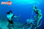 pbpic1143817buceo.jpg