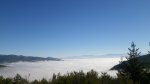 IMGP8152 (Copiar).JPG