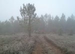 la foto 1.JPG