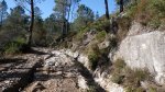 IMGP8249 (Copiar).JPG