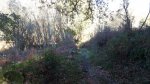 2013-12-09 14.04.31 (Copiar).jpg