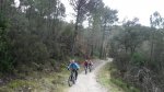 IMGP8374 (Copiar).JPG
