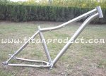 Gade-9-Titanium-Fat-Bike-Frame-ID44mm-Headtube-Belt-Drive-Sliding-Dropouts.jpg