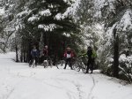 2014-01-18 Pedriza y nieve-2.jpg