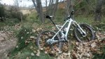 DSC_0120rec.jpg