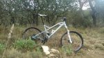 DSC_0105rec.jpg