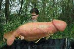 IMG-20140210-WA0002.jpg