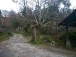 IMG-20140322-WA0013.jpg