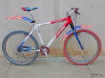 Cannondale Stripes Stars 1997.JPG