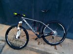 specialized elite.jpg