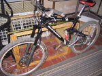 schwinn-stance1_p.jpg