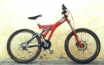 specialized021.jpg