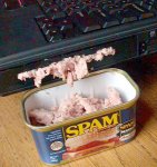 spam-c07[1].jpg