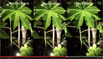 Captura de pantalla 2014-10-01 a las 23.26.33.png
