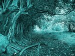 umbral2.JPG