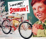 schwinnbike.jpg