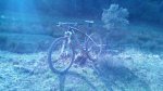 IMG_20141102_094605.jpg