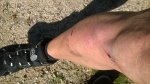WP_20141109_010.jpg