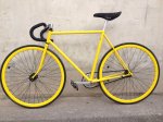 FIXIE (2).jpg