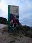 Fotos y Videos Movil (Disney, Pedals de Foc) 059.jpg