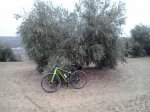 Fotos y Videos Movil (Disney, Pedals de Foc) 058.jpg