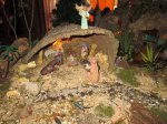 IMG_8016.JPG