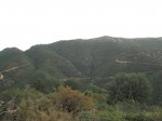 IMG_8025.JPG