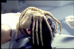 facehugger.jpg