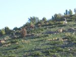 IMG_8066.JPG