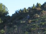 IMG_8069.JPG