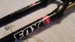 orkilla fox 29 (5).jpg