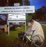 Foto Lobeira BHG6.jpg