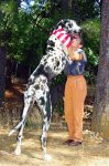 gibson-worlds-tallest-dog-1-lg[1].jpg