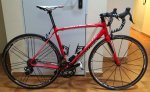 Specialized Agree Di2.JPG