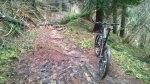 WP_20150218_007.jpg