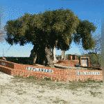 seene_24d6526e-3493-49a0-80a9-41cc6d943831.gif