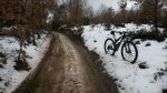 2015-02-14_Orbea_Leon_002.jpeg