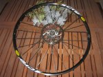 Mavic CrossRide Disc.jpg