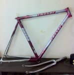 Francesco Moser Pro evolution.jpg