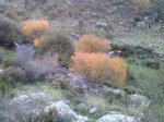 CAM01029.jpg